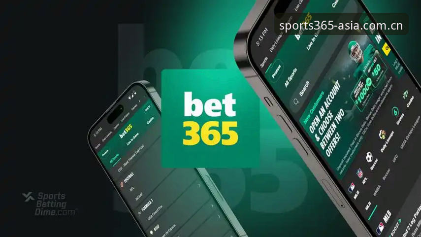 bet365最新版下载评测：2024年体育博彩平台完整使用指南
